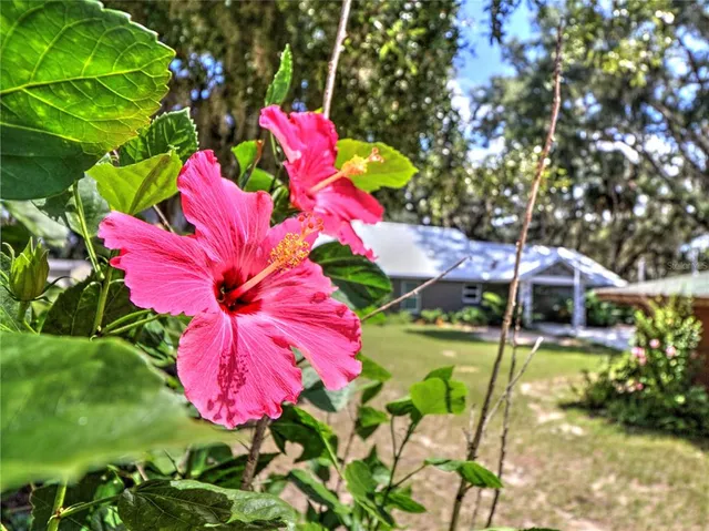 $599,900 | 14271 Northeast 47th Avenue, Anthony, FL 32617