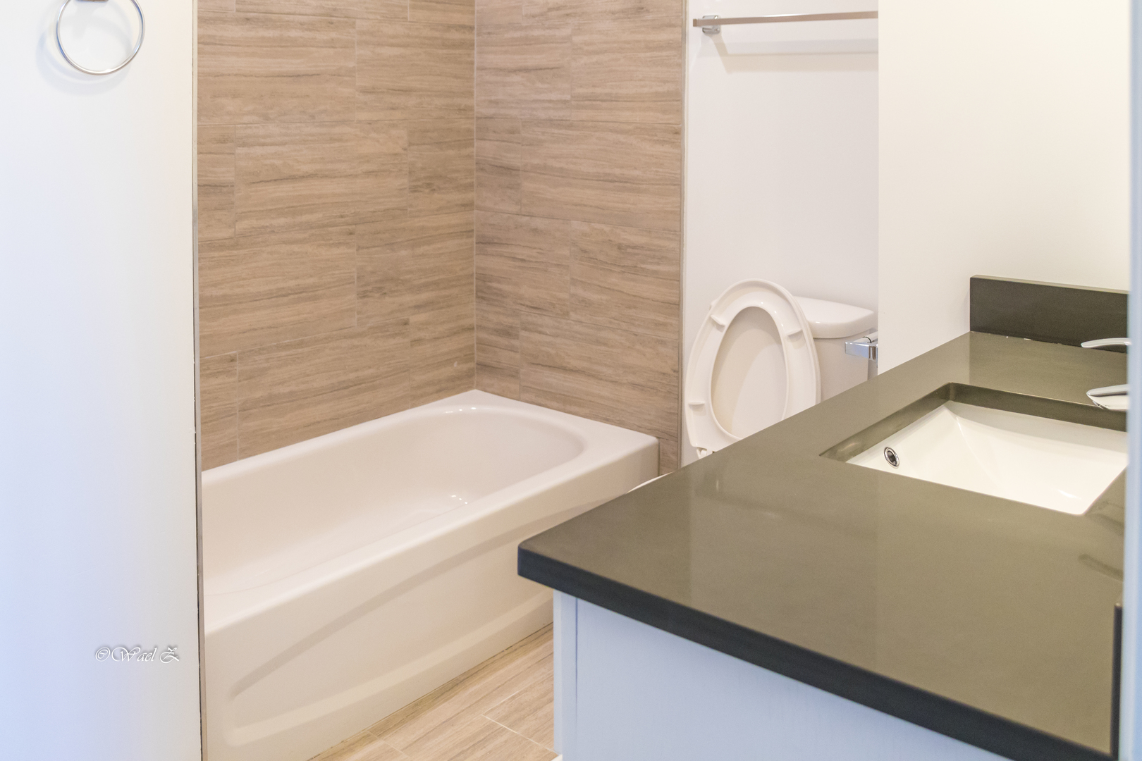 12728 Wild Rye Court, Unit B Plainfield, IL 60585 - Photo 17 of 21 a close view of sink