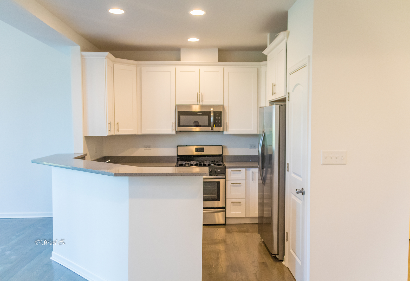 12728 Wild Rye Court, Unit B Plainfield, IL 60585 - Photo 5 of 21 a kitchen with stainless steel appliances granite countertop a stove top oven a sink and a refrigerator with wooden floor