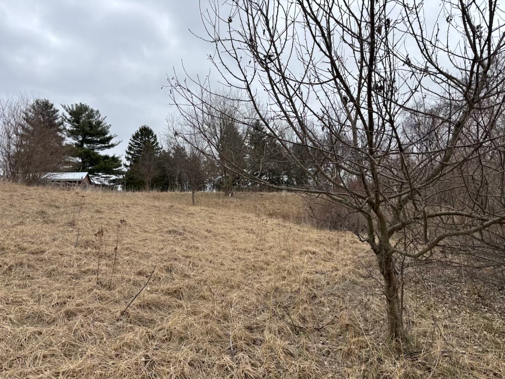 533 Gillett Road Ogden, NY 14559 - Photo 32 of 33