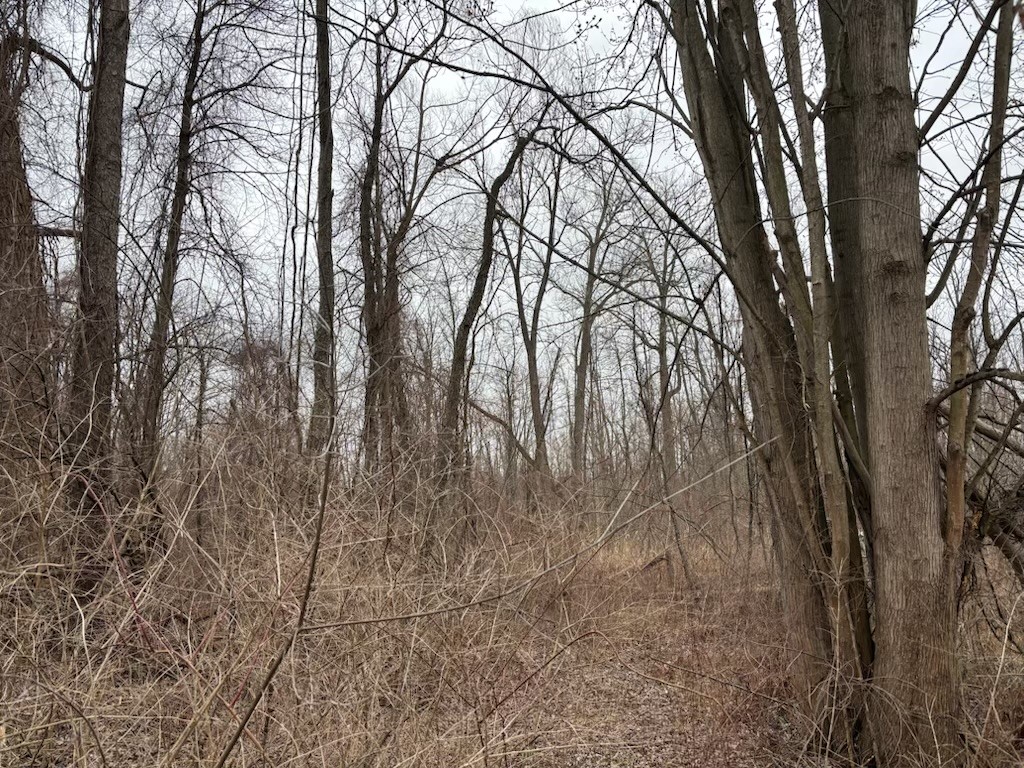 533 Gillett Road Ogden, NY 14559 - Photo 33 of 33