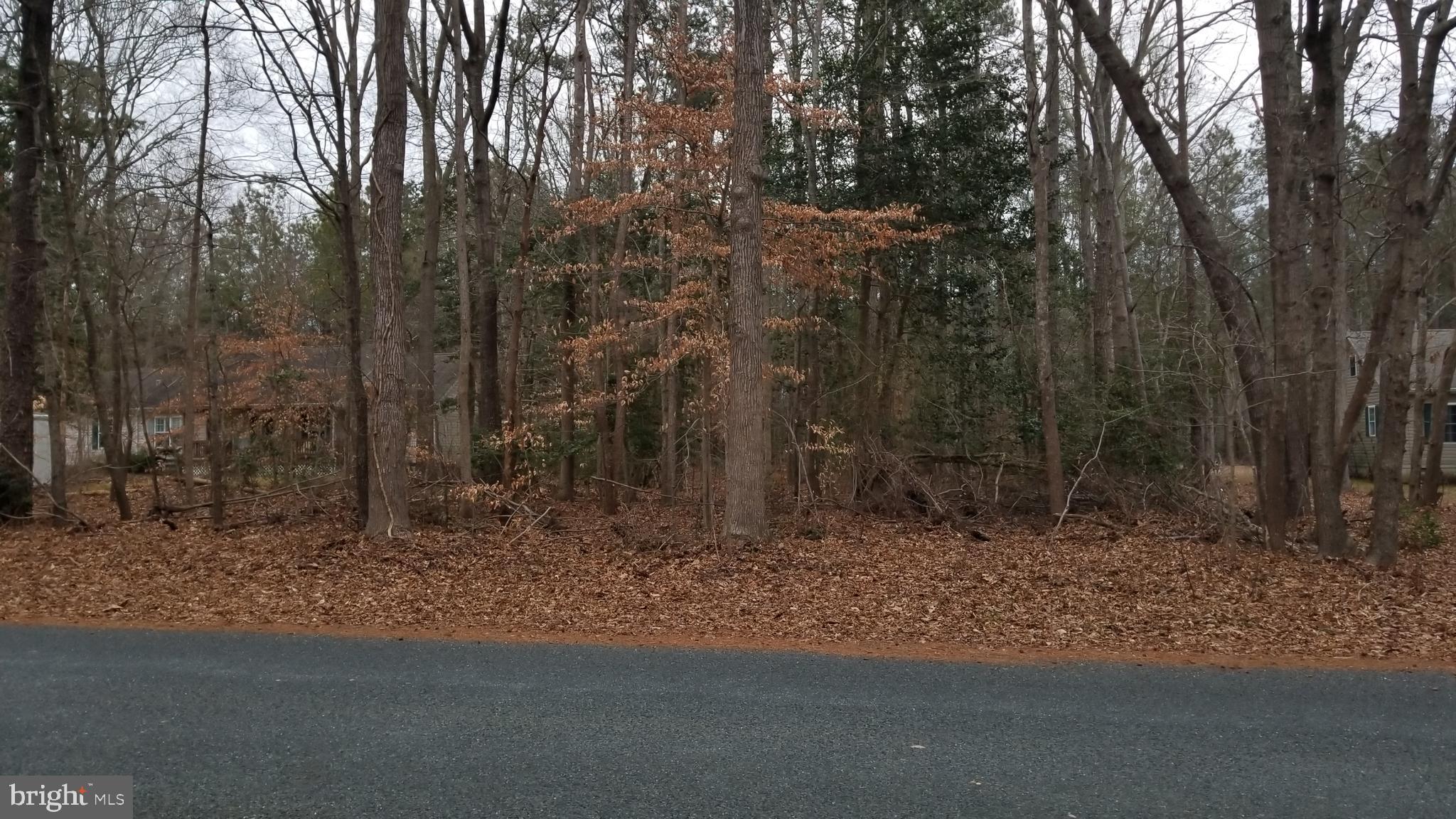 Front of Lot