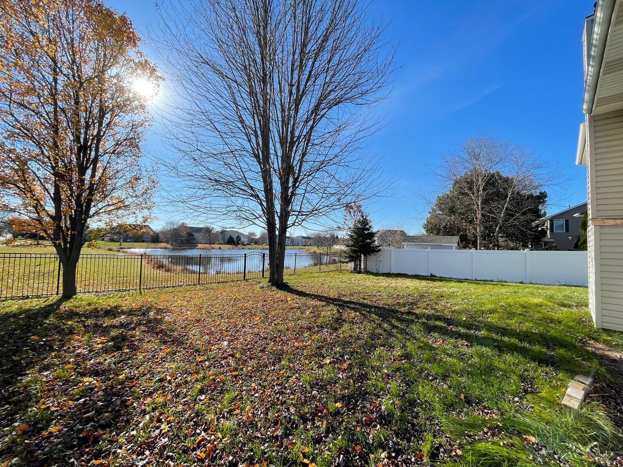 1689 Apple Valley Road Bolingbrook, IL 60490 - Photo 27 of 28 a view of backyard with large trees