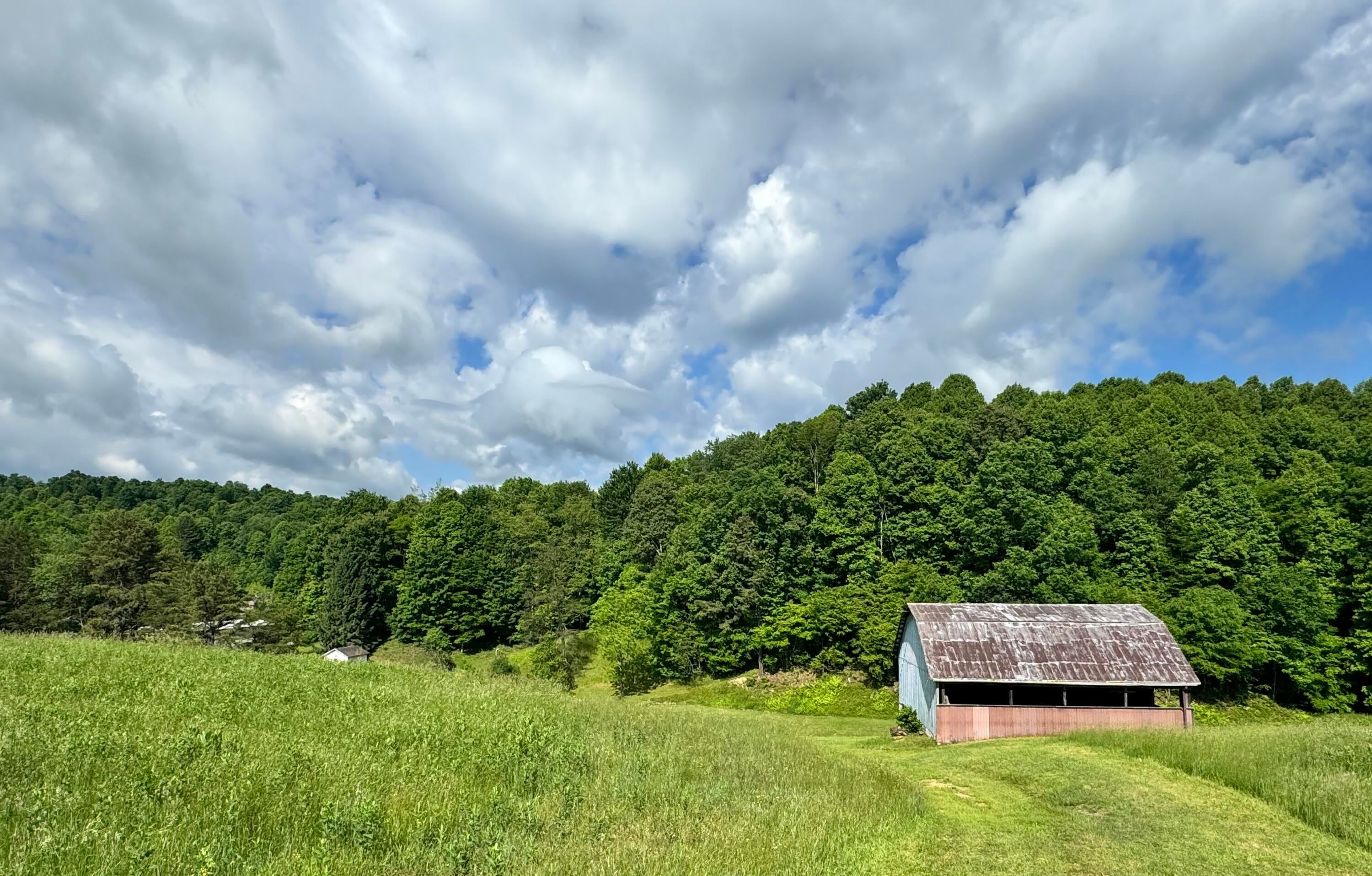 14021 West Webster Road Calvin, WV 26660 - Photo 34 of 44 Gallery Image 34