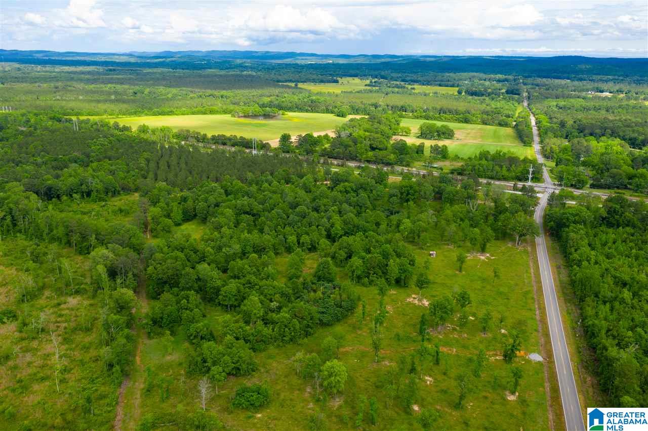 0 County Road 31 Springville, AL 35146 - Photo 16 of 18 Gallery Image 16