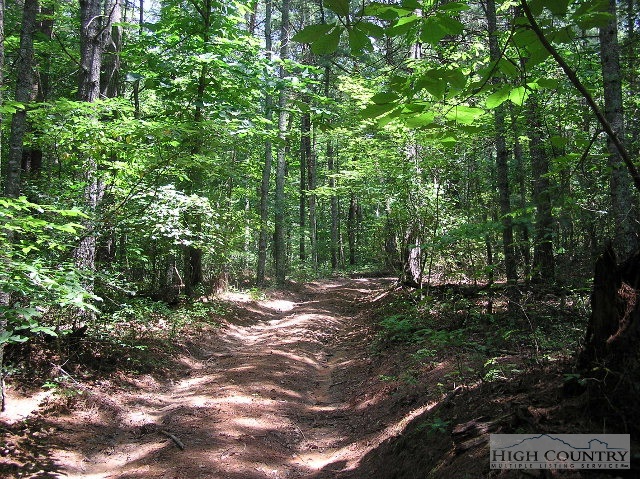 Marley Ford Road Ferguson, NC 28624 - Photo 1 of 1 Gallery Image 1