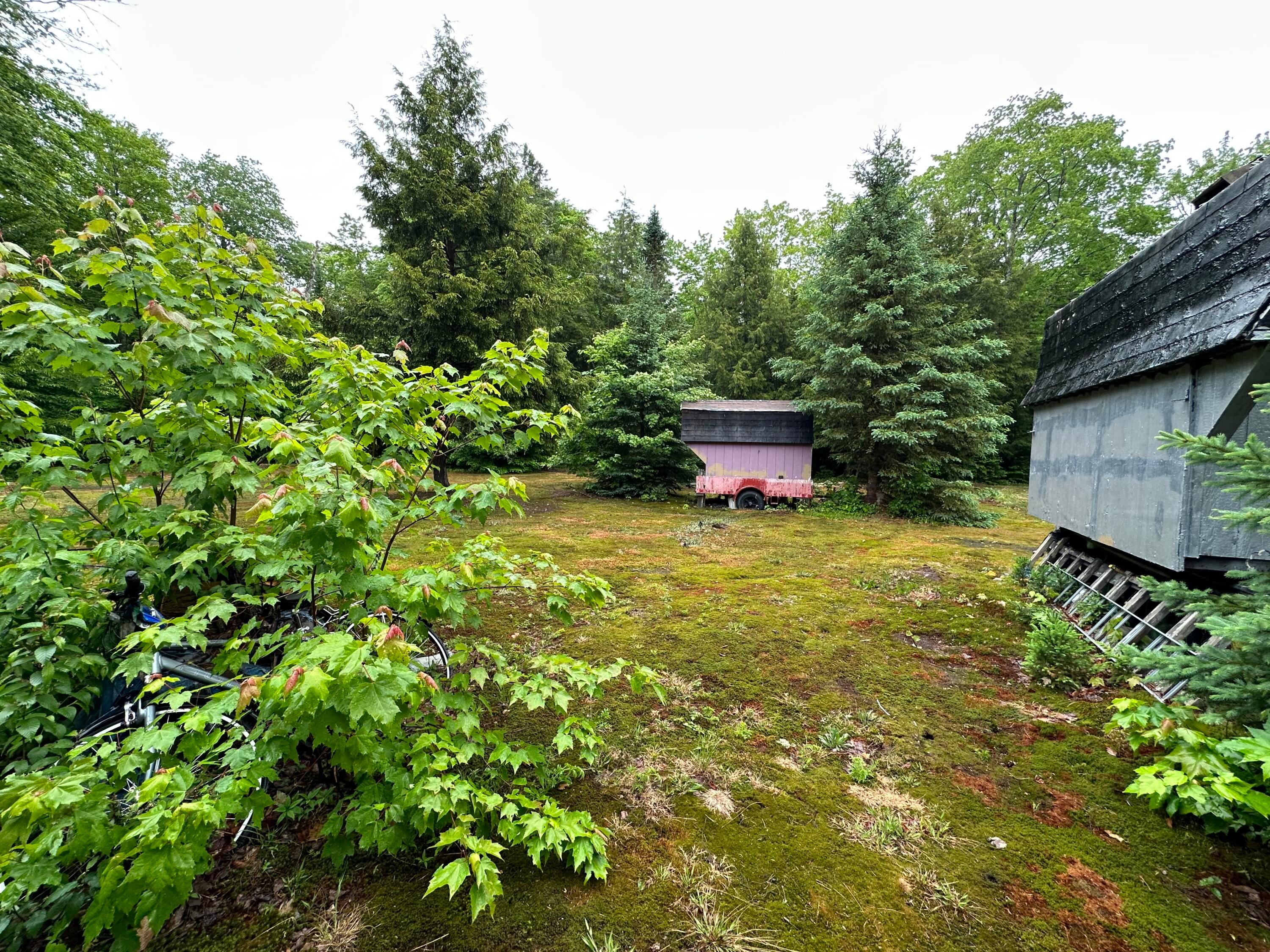 19580 Pinewood Road Newberry, MI 49868 - Photo 3 of 8 Gallery Image 3