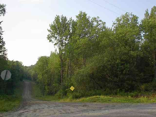 0 Shad Road Salisbury Center, NY 13454 - Photo 11 of 11 Photo 11