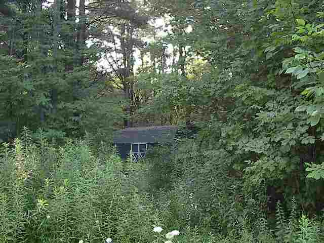 0 Shad Road Salisbury Center, NY 13454 - Photo 4 of 11 Photo 4