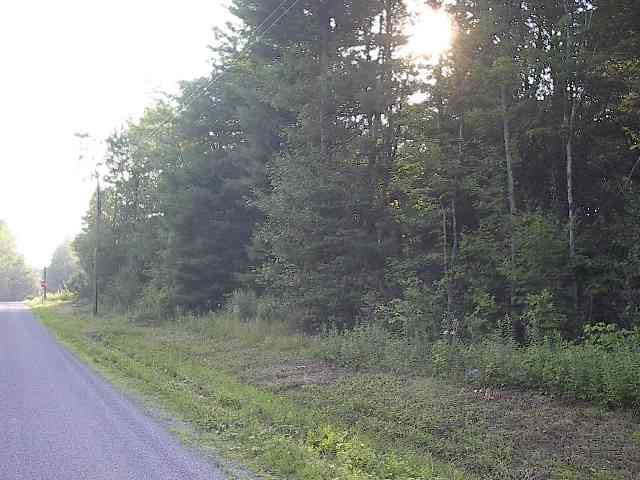 0 Shad Road Salisbury Center, NY 13454 - Photo 5 of 11 Photo 5