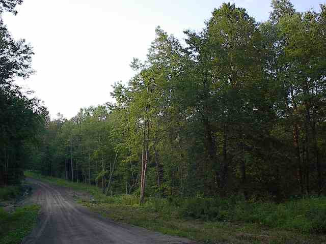 0 Shad Road Salisbury Center, NY 13454 - Photo 7 of 11 Photo 7