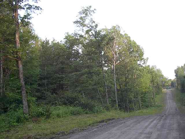 0 Shad Road Salisbury Center, NY 13454 - Photo 8 of 11 Photo 8