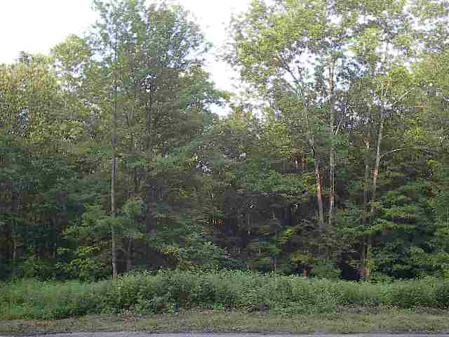 0 Shad Road Salisbury Center, NY 13454 - Photo 9 of 11 Photo 9