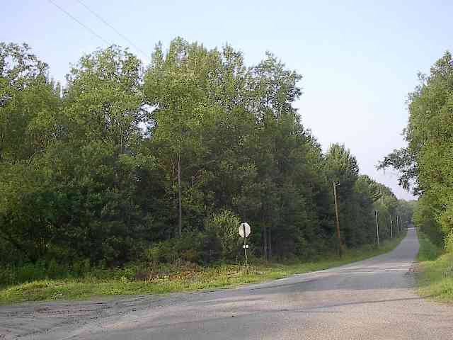 0 Shad Road Salisbury Center, NY 13454 - Photo 10 of 11 Photo 10