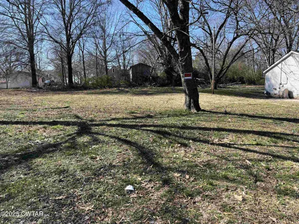 a view of yard with tree