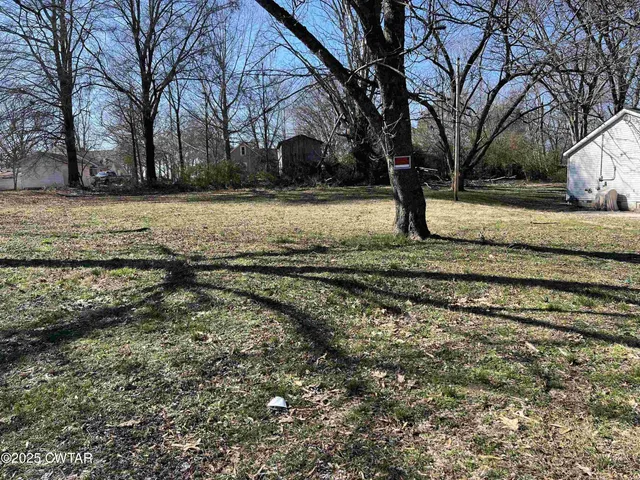 a view of yard with tree
