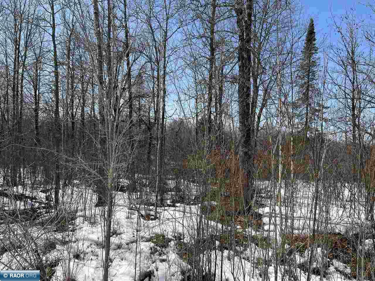 Lot Outlot Lot Outlot Rippling Oak Ridge River Pengilly, MN 55775 - Photo 6 of 6