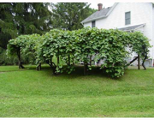 120 Greenfield Road Perryopolis, PA 15473 - Photo 6 of 8 Land/Lot. Your own private slice of heaven! ...