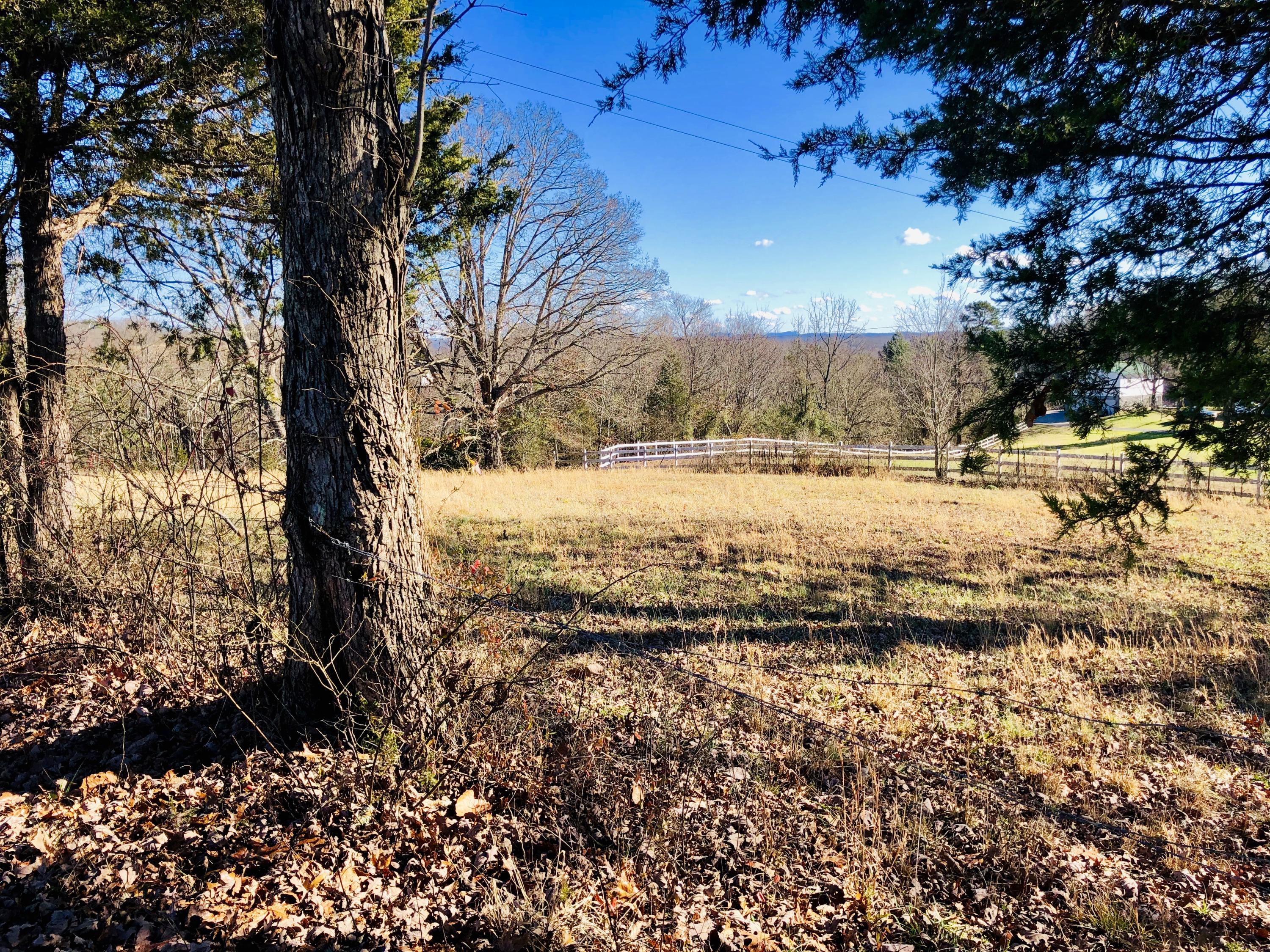 201 Church Road La Follette, TN 37766 - Photo 2 of 37 Driveway view