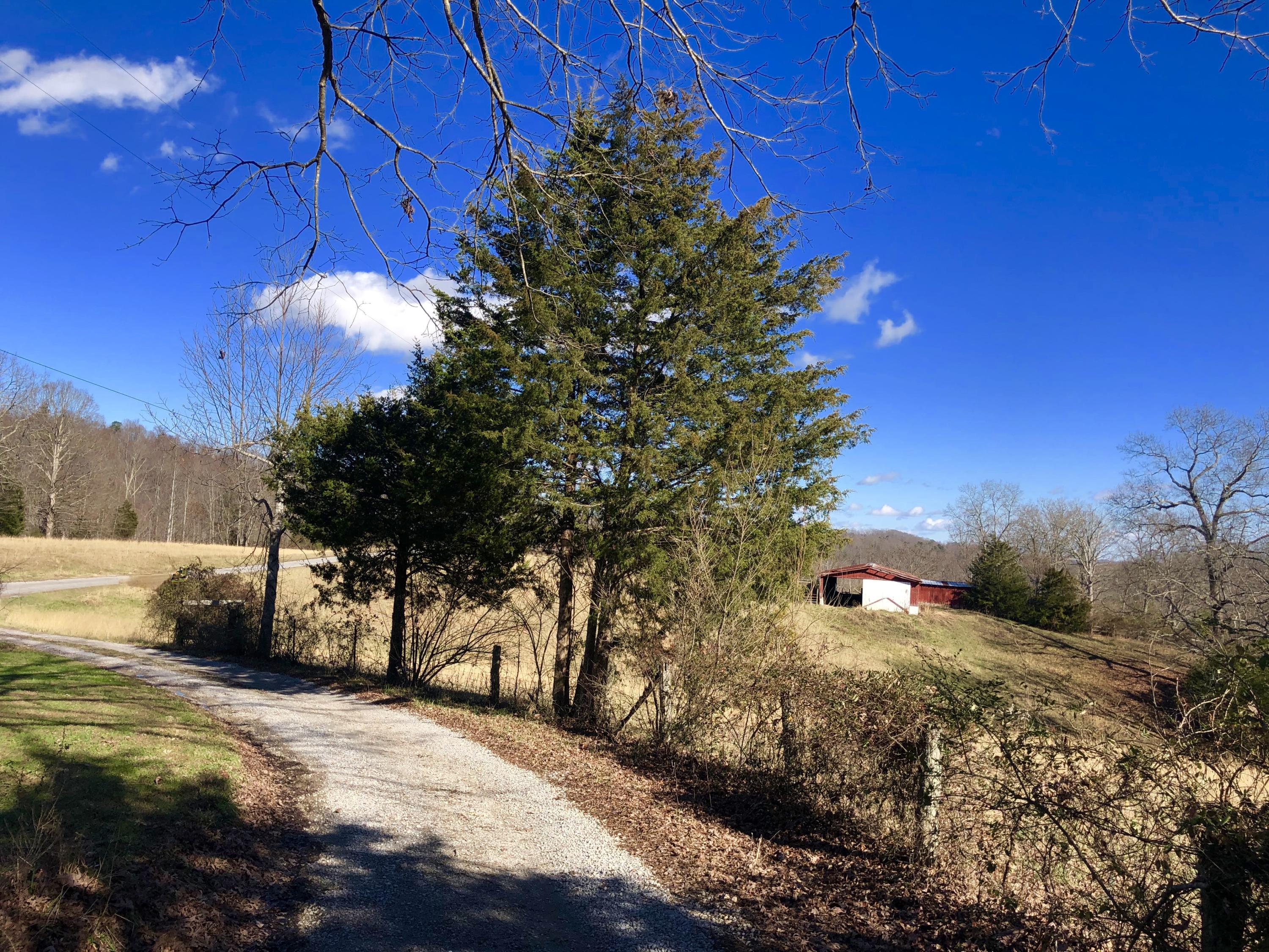 201 Church Road La Follette, TN 37766 - Photo 3 of 37 Driveway view