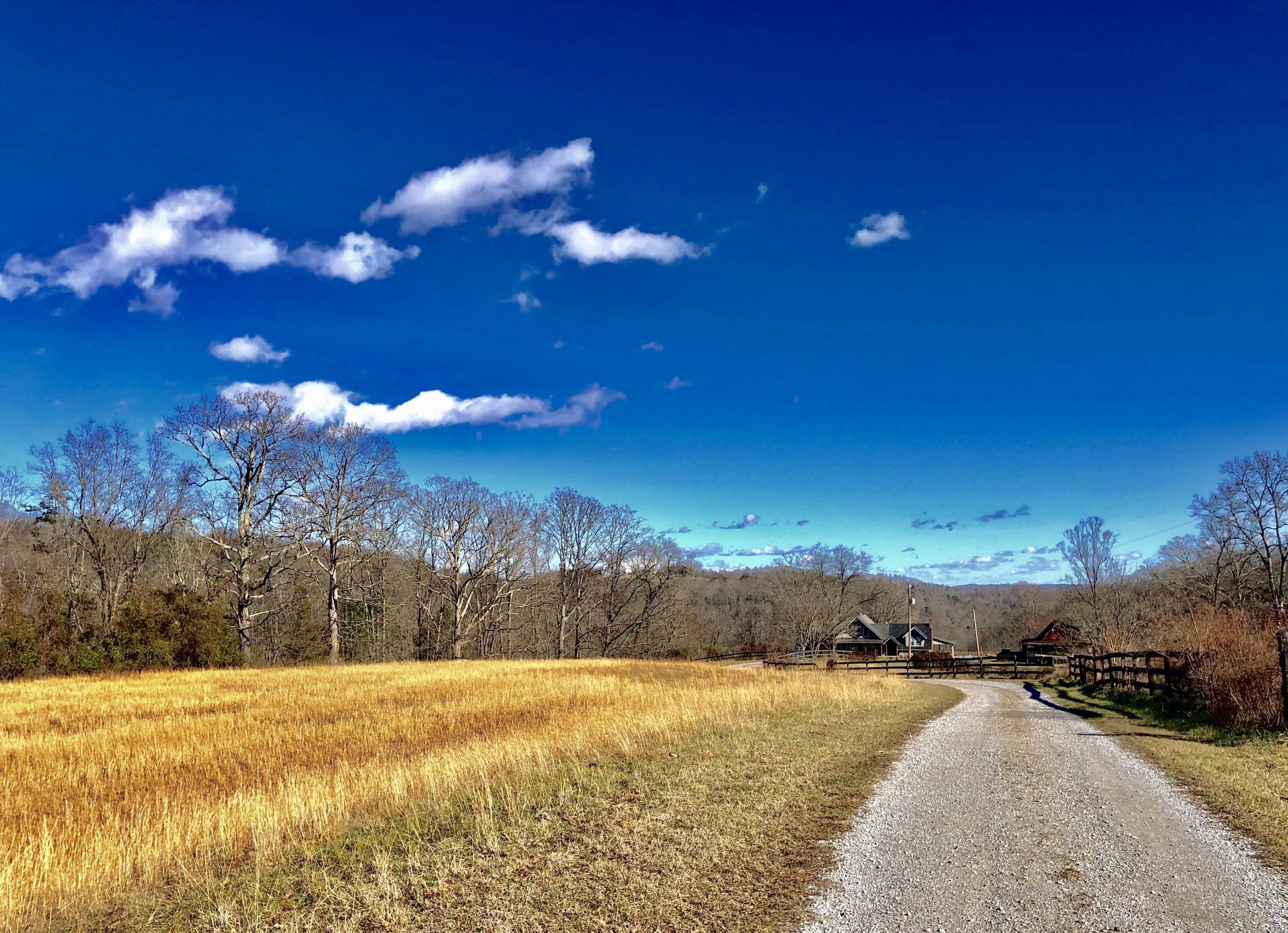 201 Church Road La Follette, TN 37766 - Photo 4 of 37 Driveway view