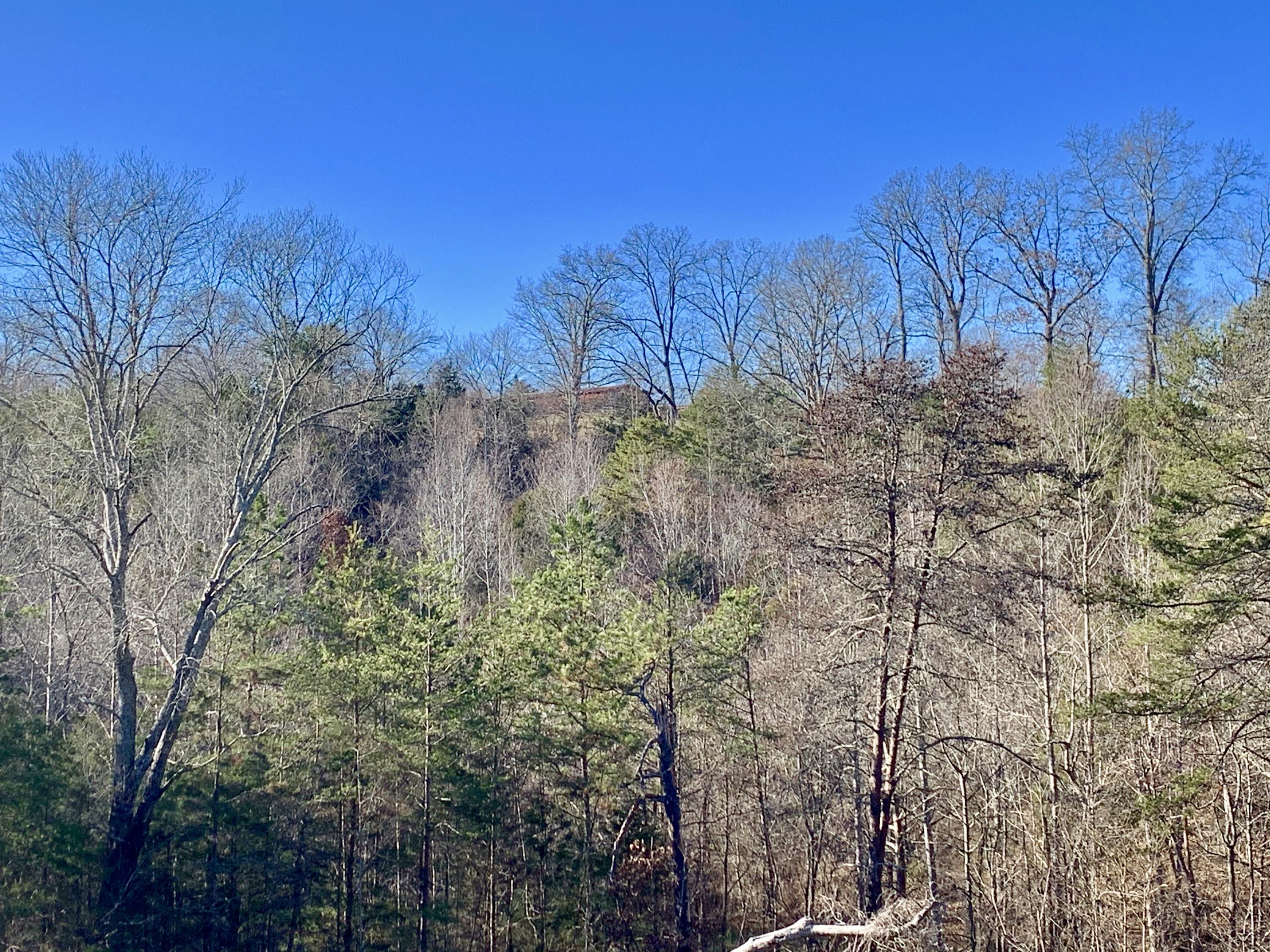 201 Church Road La Follette, TN 37766 - Photo 35 of 37 Back view of the property from road