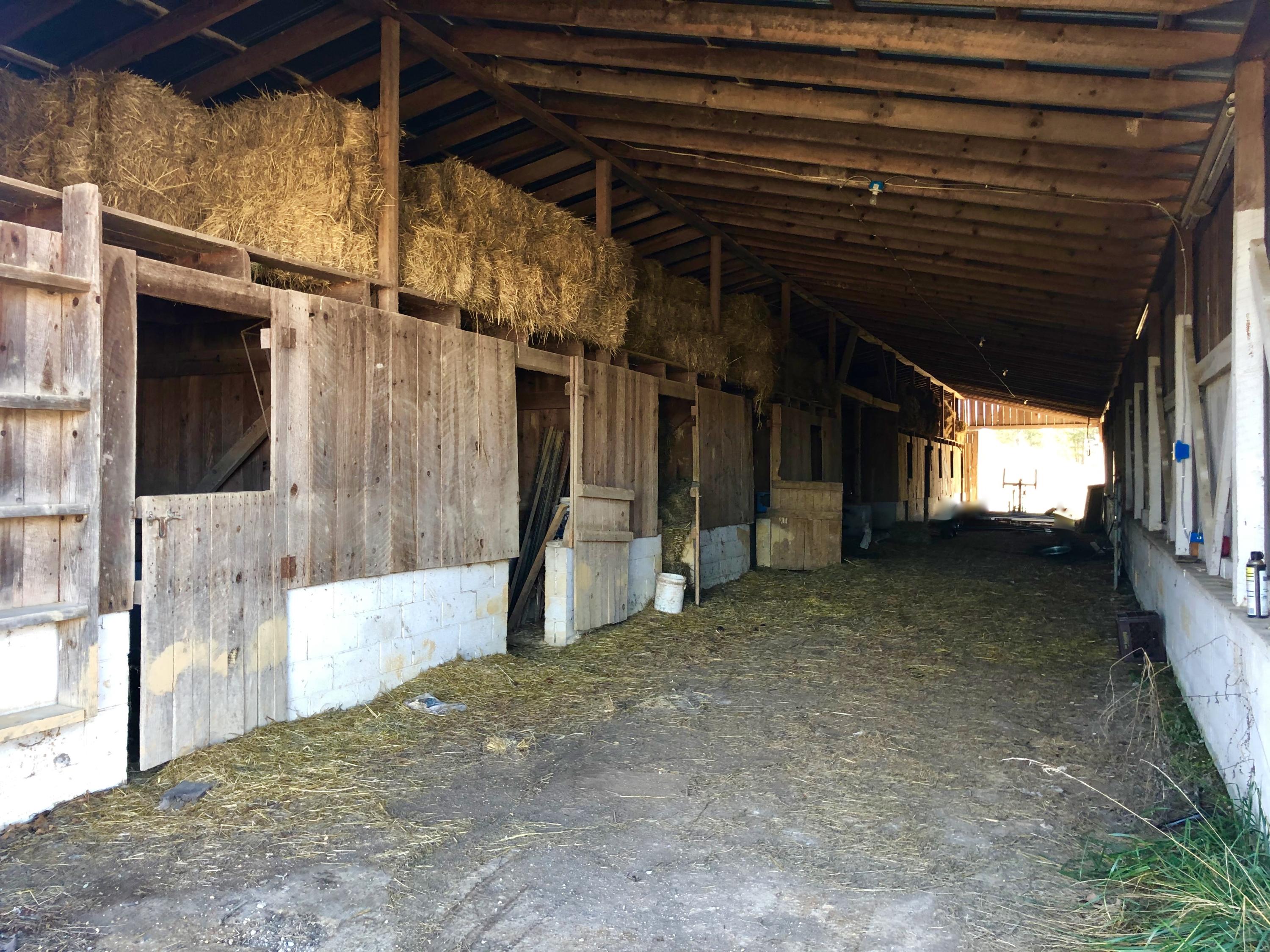 201 Church Road La Follette, TN 37766 - Photo 6 of 37 10-stall barn with loft