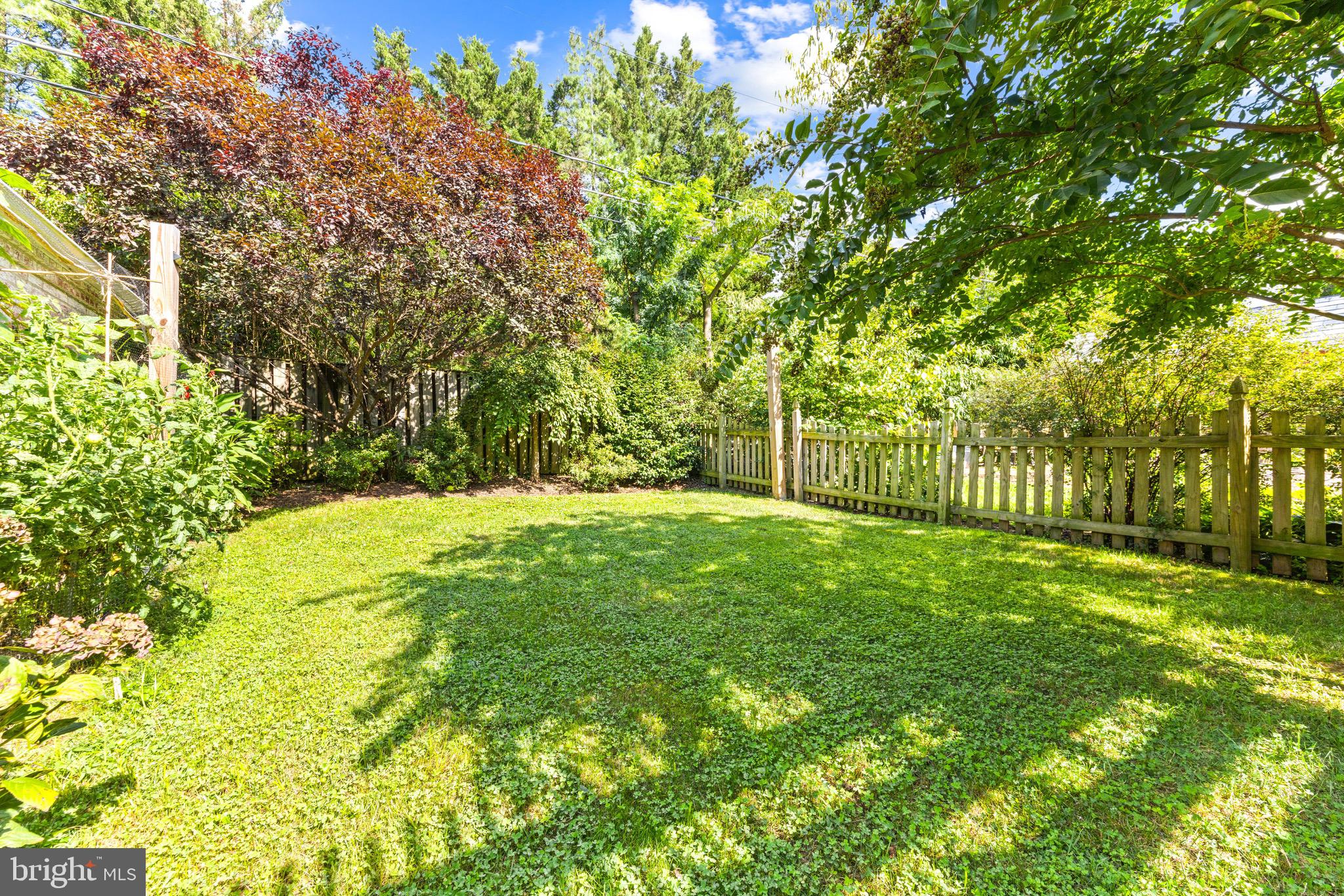 7107 Rich Hill Road Baltimore, MD 21212 - Photo 44 of 52 Large level backyard