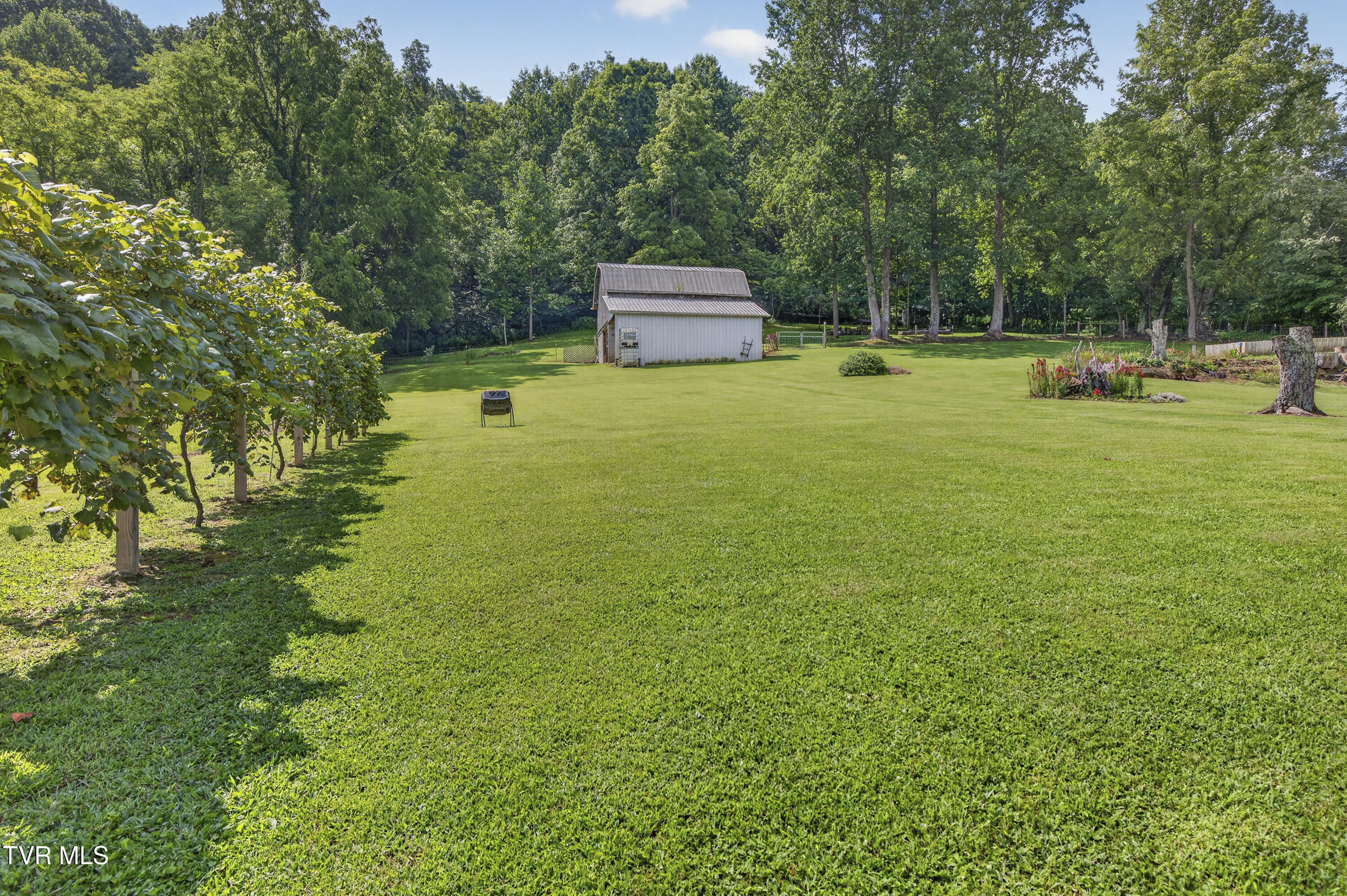 13422 Countiss Road Abingdon, VA 24210 - Photo 83 of 99 13422 Countiss Rd