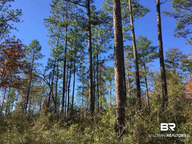0 Boothtown Road Citronelle, AL 36522 - Photo 3 of 10