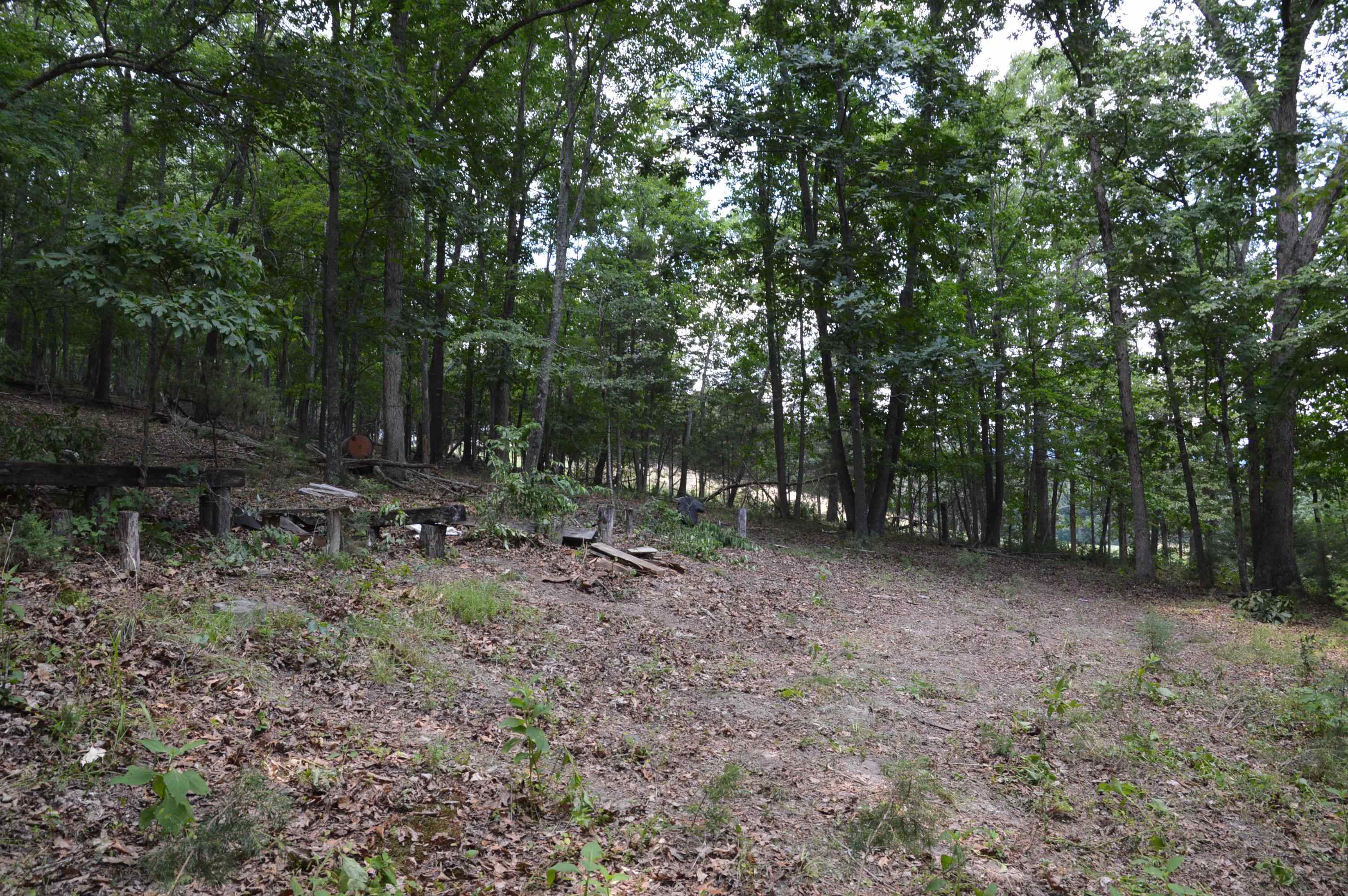 Tbd Paris Mountain Road Elliston, VA 24087 - Photo 5 of 11 Gallery Image 5