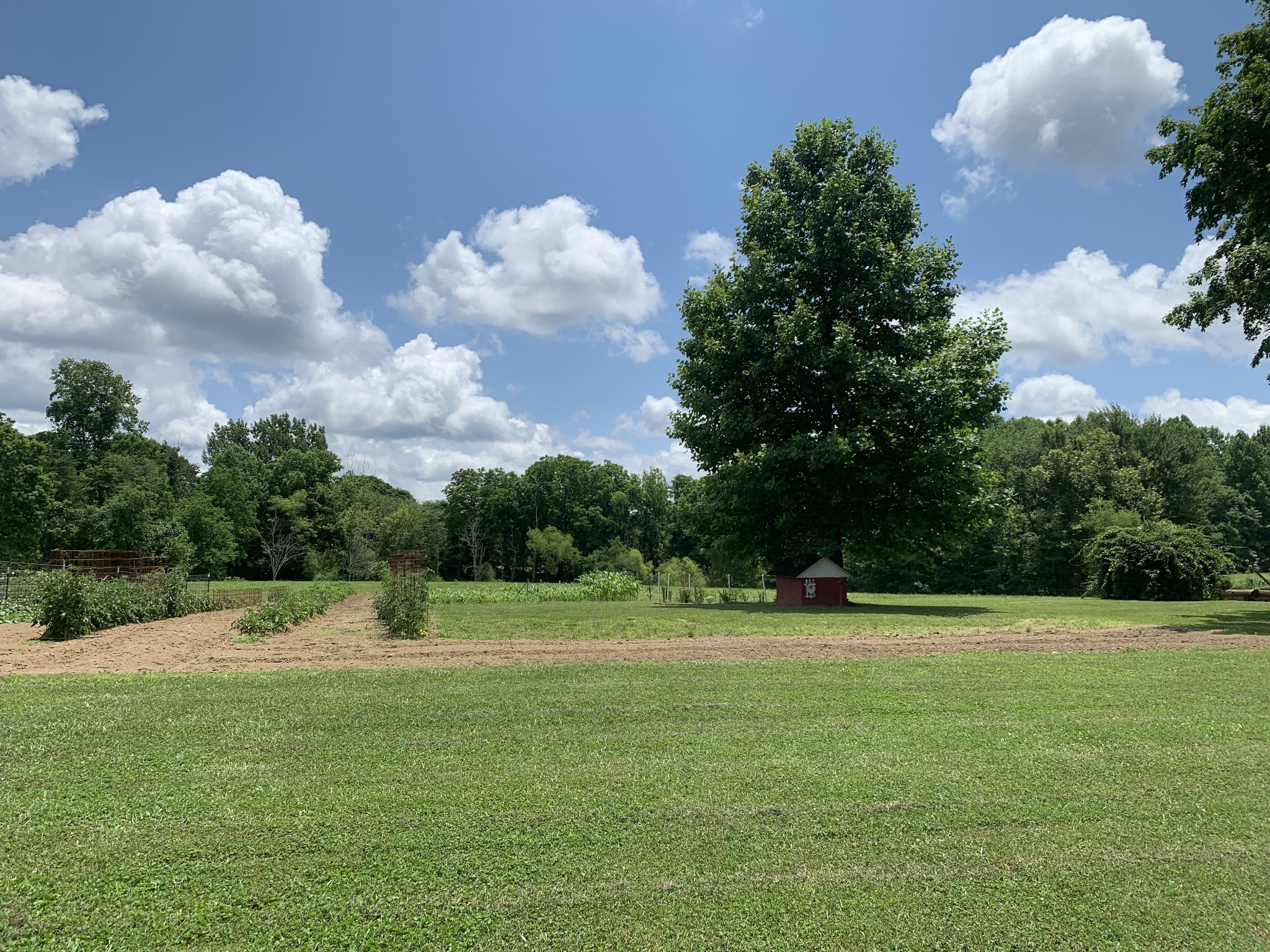 855 Tram Road Tracy City, TN 37387 - Photo 34 of 37 Gallery Image 34