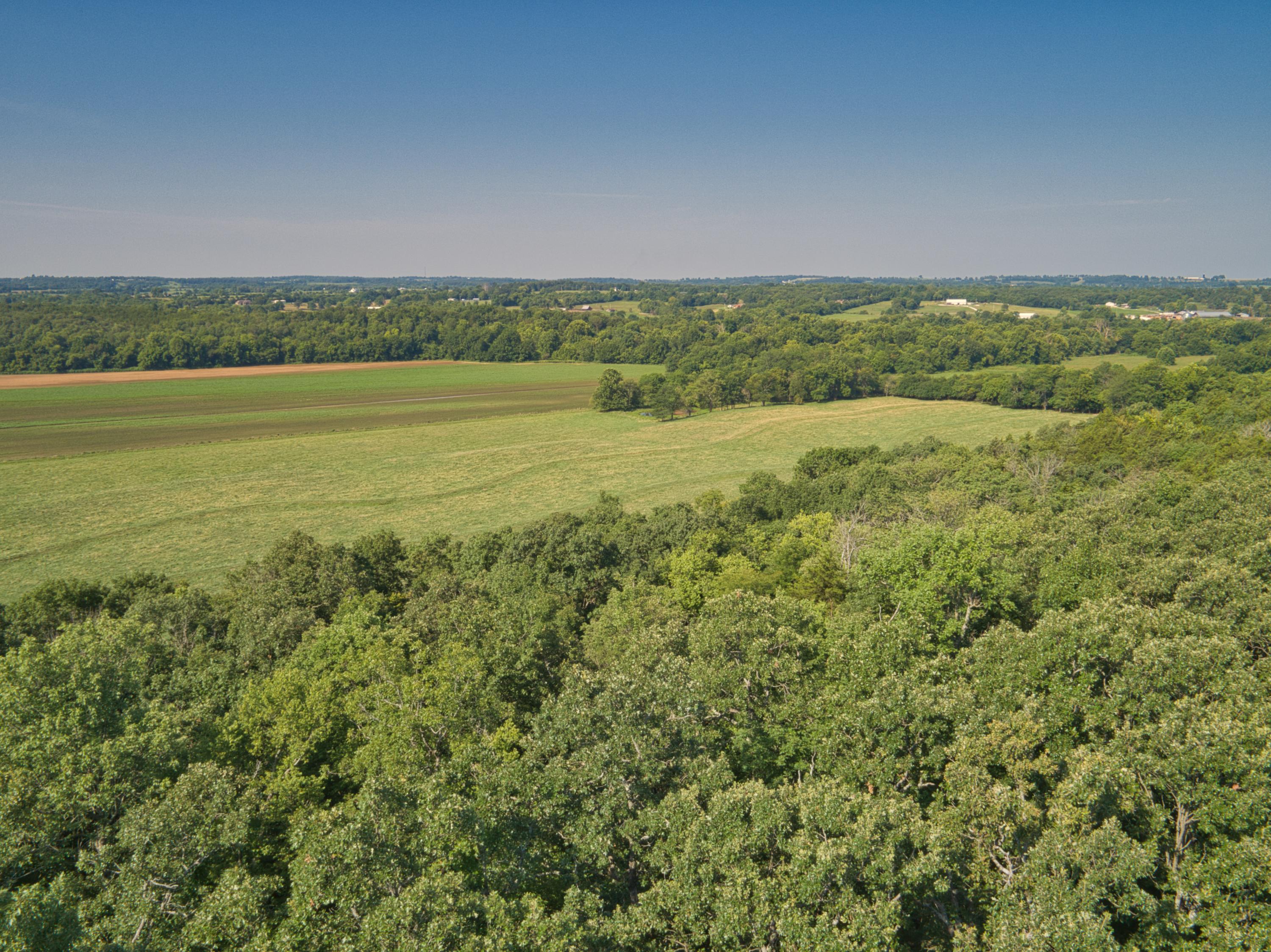 0 East 517th Road Half Way, MO 65663 - Photo 8 of 9 DJI_0021