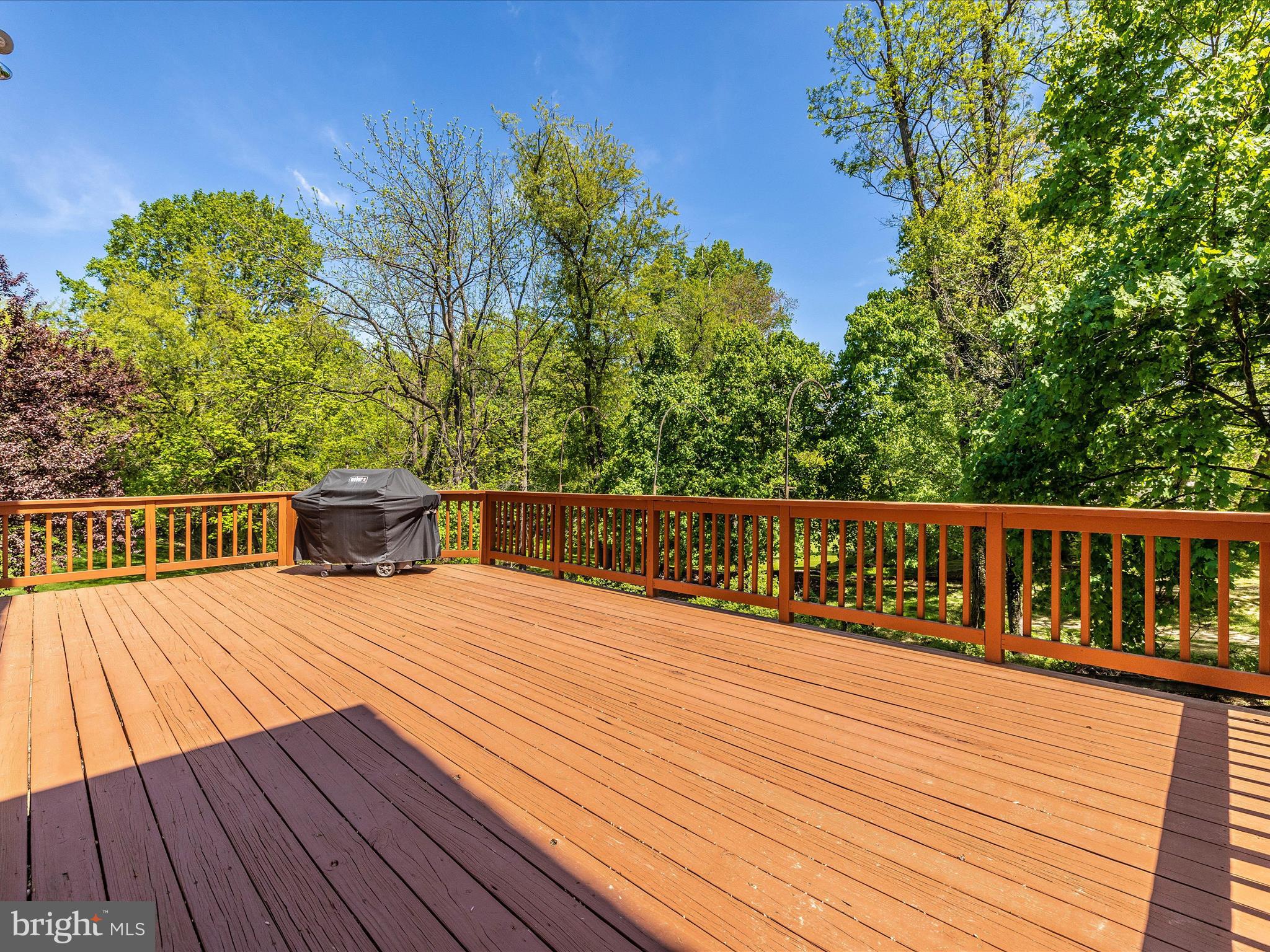 2009 Flint Hill Road Silver Spring, MD 20906 - Photo 68 of 83 Exterior Deck