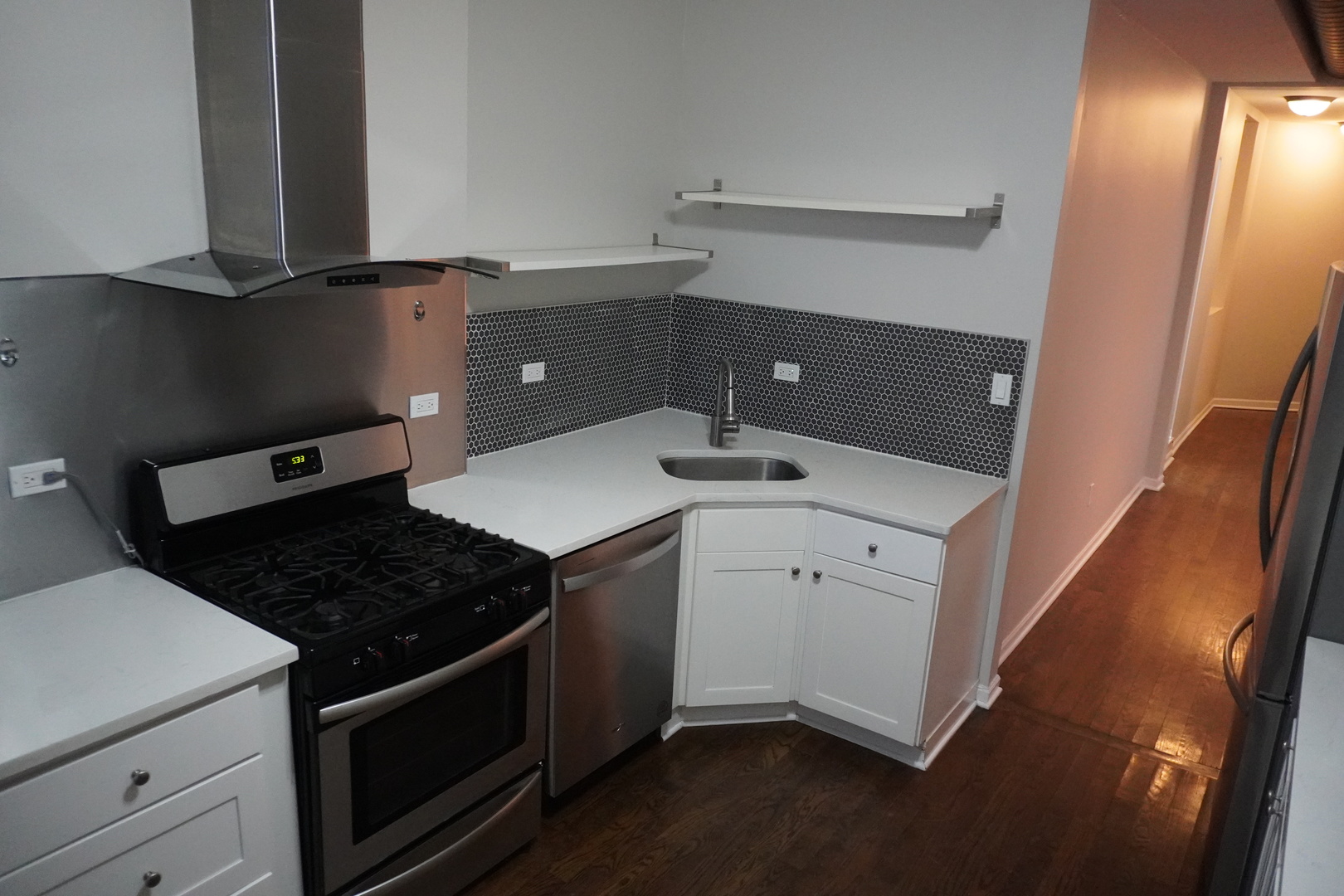 867 East Pershing Road, Unit 2 Chicago, IL 60653 - Photo 10 of 15