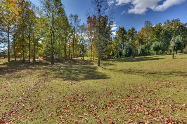 a view of a yard with plants