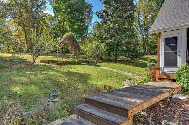 a view of a yard with a trees