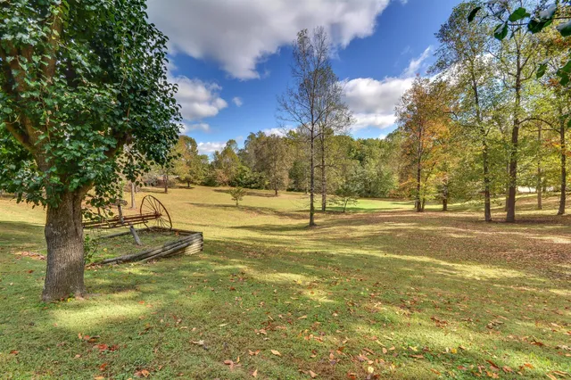 a view of a yard with an trees