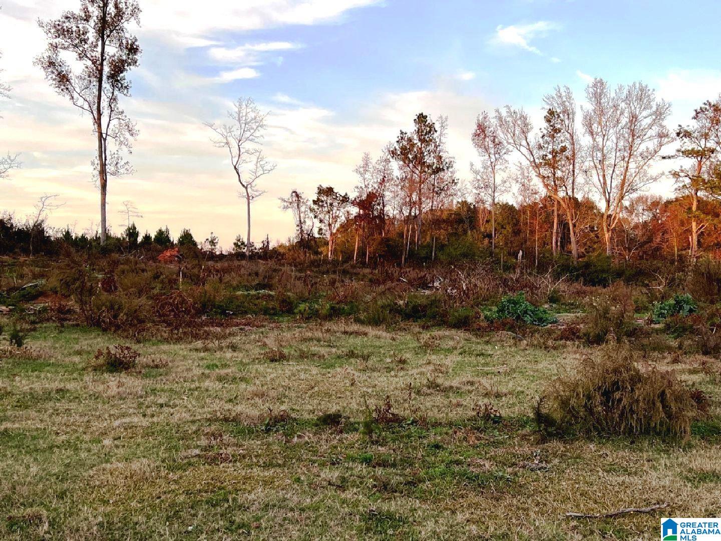 Mcvey Road, Unit 11 90 Lineville, AL 36266 - Photo 5 of 7