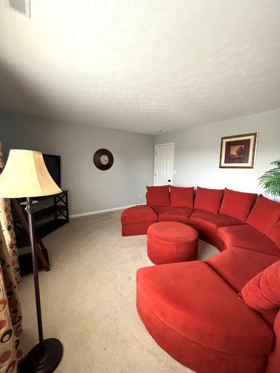 1536 Maplewood Lane Pendleton, IN 46064 - Photo 40 of 50