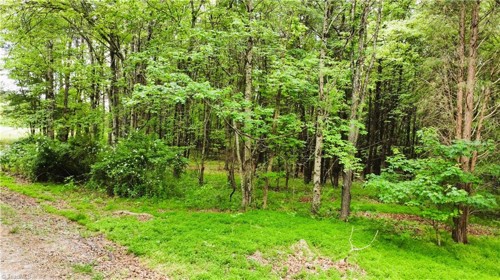 0 Eden Road Stoneville, NC 27048 - Photo 5 of 8