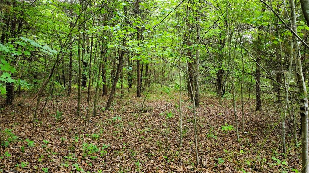 0 Eden Road Stoneville, NC 27048 - Photo 7 of 8