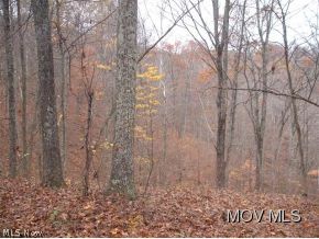 0 Rt 47 Macfarlan, WV 26148 - Photo 16 of 18