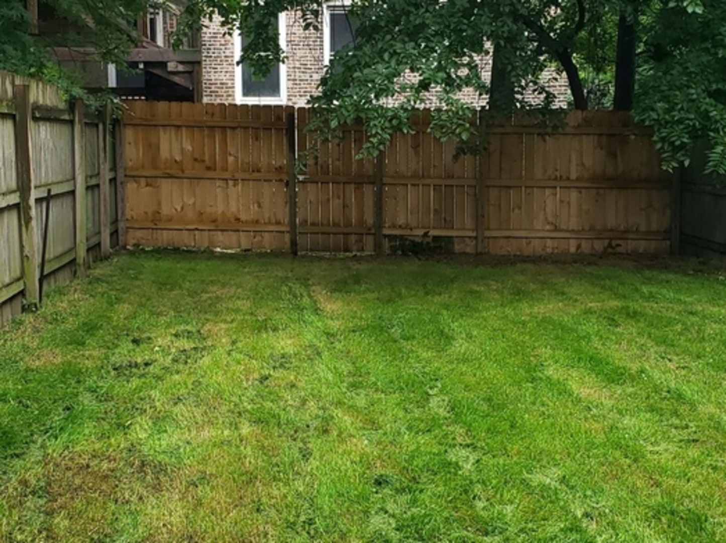 6550 South Perry Avenue Chicago, IL 60621 - Photo 6 of 6 a view of a backyard
