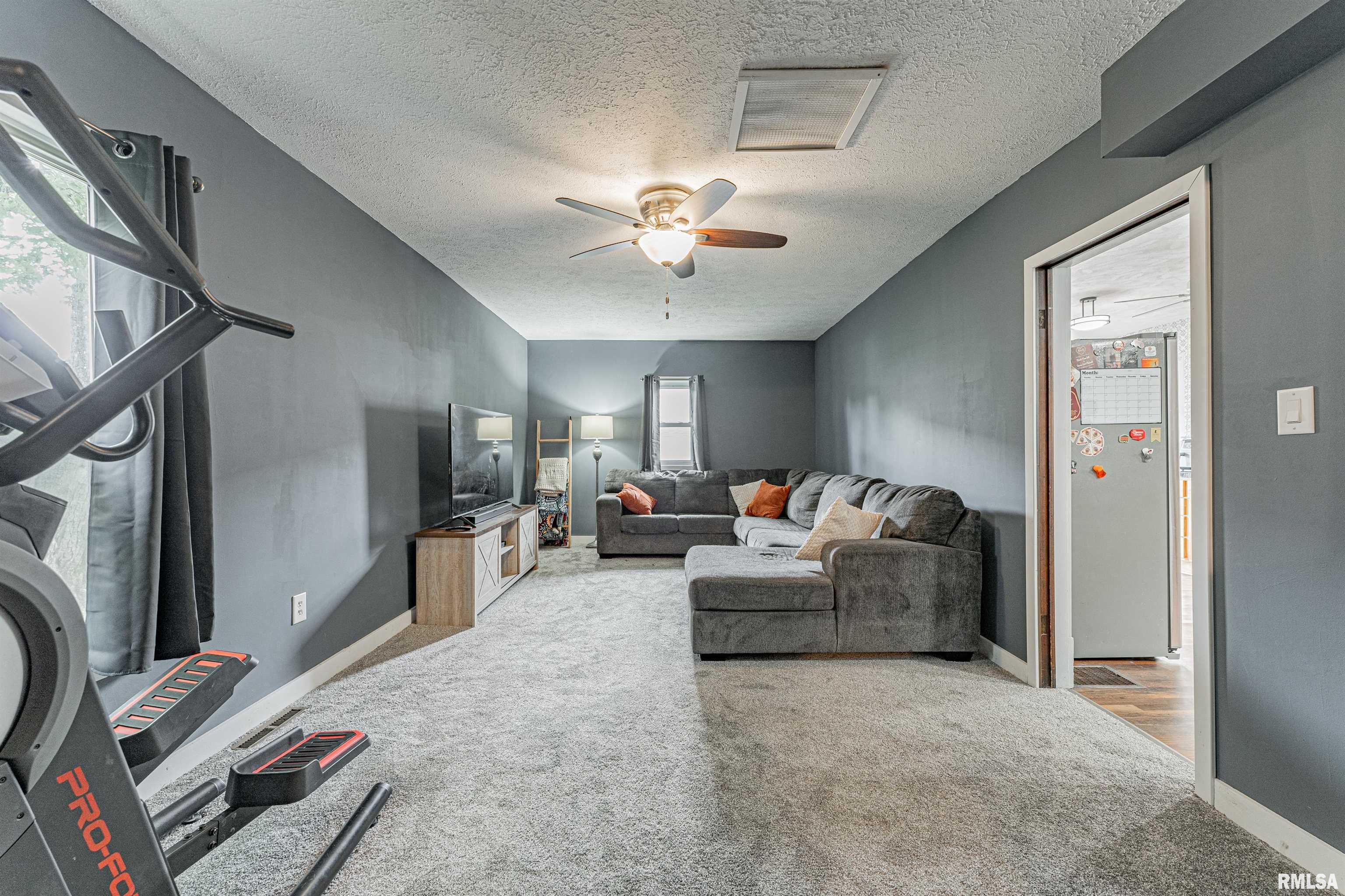 207 Northeast 5th Street Atlanta, IL 61723 - Photo 7 of 29