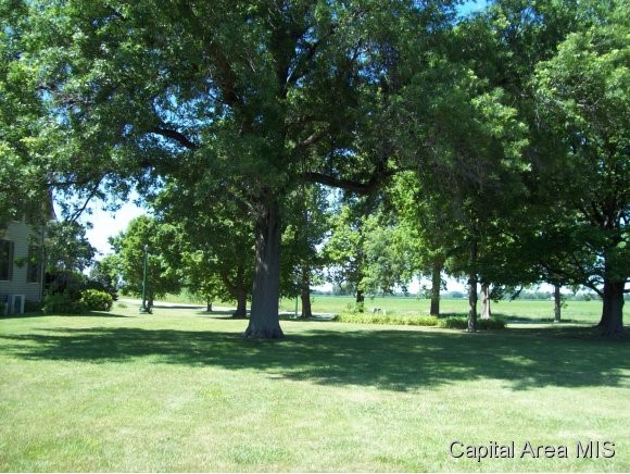 5550 Chicken Bristle Road Rochester, IL 62563 - Photo 8 of 24