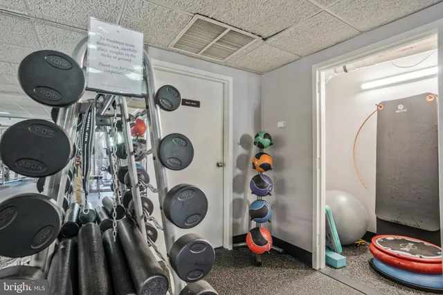 a view of a park with a slide