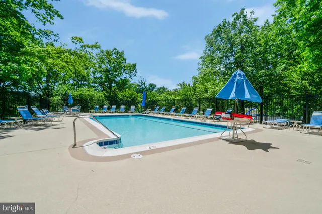 a view of a park with large trees