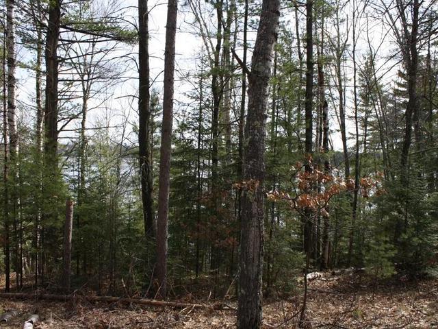 On Chain O Lakes Road, Unit LOT 2 Eagle River, WI 54521 - Photo 2 of 11 Gallery Image 2