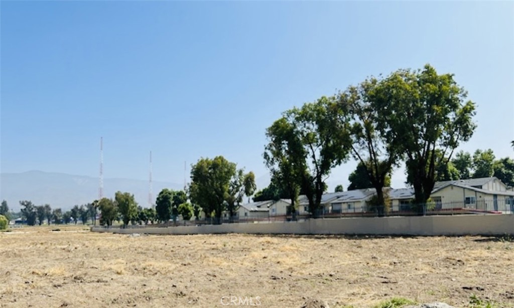 a view of a road with a tree in the background